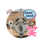 山本ファーム♪（個別スタンプ：24）