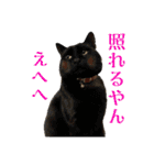 山本ファーム♪（個別スタンプ：27）