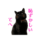 山本ファーム♪（個別スタンプ：28）