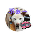山本ファーム♪（個別スタンプ：30）