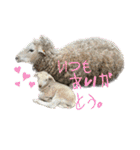 山本ファーム♪（個別スタンプ：32）