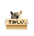 山本ファーム♪（個別スタンプ：34）