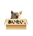 山本ファーム♪（個別スタンプ：35）