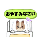 ぜ〜んぶ♡ひらがな⑥母親→こども 犬好き（個別スタンプ：16）