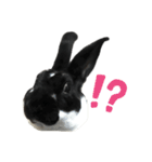 ふくちおまめだいのすけ（個別スタンプ：12）