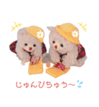 ぽめぽろちゃん2（個別スタンプ：5）