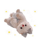 ぽめぽろちゃん2（個別スタンプ：14）