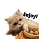 お猫さまの風太くん（個別スタンプ：12）