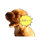 うちの子ファーニー（個別スタンプ：3）