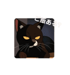 ねこねこねこくん（個別スタンプ：14）