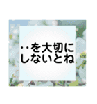 しりとり遊び！改訂⭐️（の〜ん）（個別スタンプ：22）