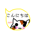 みきれにゃんこ4(ふきだし・敬語編)J＆E（個別スタンプ：2）