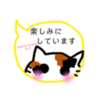 みきれにゃんこ4(ふきだし・敬語編)J＆E（個別スタンプ：19）