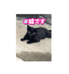 動物スタンプりさ（個別スタンプ：8）