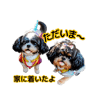 私の家族のシーズー犬 3（個別スタンプ：17）