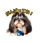 私の家族のシーズー犬 3（個別スタンプ：23）