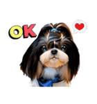 私の家族のシーズー犬 3（個別スタンプ：25）