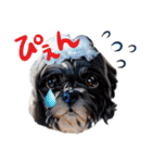 私の家族のシーズー犬 3（個別スタンプ：30）
