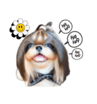私の家族のシーズー犬 3（個別スタンプ：32）