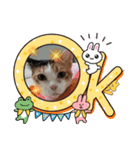 NAKO＆A MEOW（個別スタンプ：2）