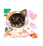 NAKO＆A MEOW（個別スタンプ：4）