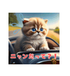 猫ドライブ2！40セット！（個別スタンプ：3）