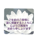 お悔やみの言葉⑥訃報.法事.法要シンプル（個別スタンプ：15）