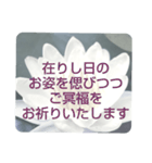 お悔やみの言葉⑥訃報.法事.法要シンプル（個別スタンプ：16）