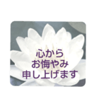 お悔やみの言葉⑥訃報.法事.法要シンプル（個別スタンプ：17）