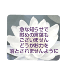 お悔やみの言葉⑥訃報.法事.法要シンプル（個別スタンプ：28）