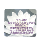 お悔やみの言葉⑥訃報.法事.法要シンプル（個別スタンプ：36）