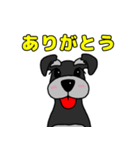 我が家のシュナウザーのスタンプ（個別スタンプ：5）