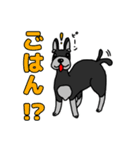 我が家のシュナウザーのスタンプ（個別スタンプ：15）