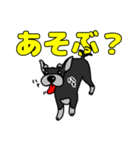 我が家のシュナウザーのスタンプ（個別スタンプ：16）