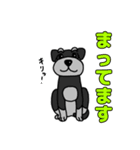 我が家のシュナウザーのスタンプ（個別スタンプ：17）
