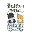 【Big】柴犬『初秋』（個別スタンプ：14）