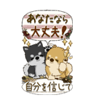 【Big】柴犬『初秋』（個別スタンプ：29）