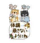 【Big】柴犬『初秋』（個別スタンプ：34）