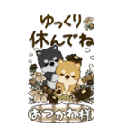 【Big】柴犬『初秋』（個別スタンプ：37）