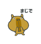 カピバラタイム（個別スタンプ：13）