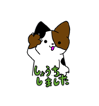 みけねこのみけねこお（個別スタンプ：3）
