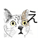 みけねこのみけねこお（個別スタンプ：18）