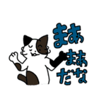 みけねこのみけねこお（個別スタンプ：21）