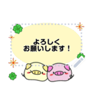 もっちり ぶたのぶーちゃんMessageスタンプ（個別スタンプ：17）