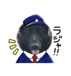動物スタンプりさ2（個別スタンプ：2）