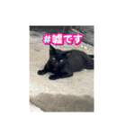 動物スタンプりさ2（個別スタンプ：8）