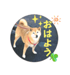 大好き♡クリちゃん（個別スタンプ：1）