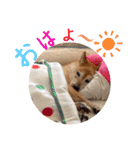 大好き♡クリちゃん（個別スタンプ：2）