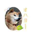大好き♡クリちゃん（個別スタンプ：3）