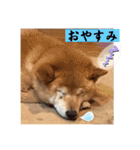 大好き♡クリちゃん（個別スタンプ：5）